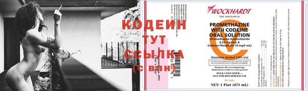 ПСИЛОЦИБИНОВЫЕ ГРИБЫ Богданович