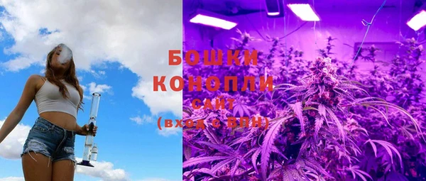 ПСИЛОЦИБИНОВЫЕ ГРИБЫ Богданович