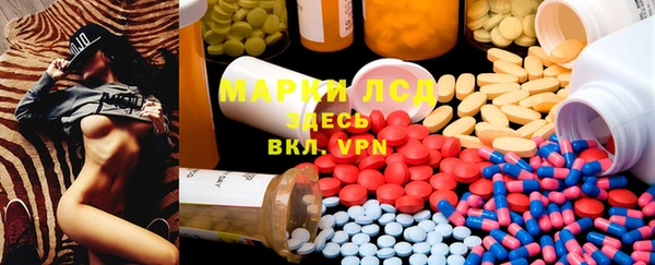 ПСИЛОЦИБИНОВЫЕ ГРИБЫ Богданович